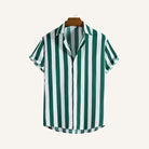 Hinea Pinstripe Shirt Classic Line