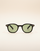 Sunglasses Classic Frame Signature