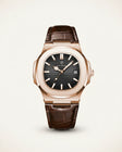 Steel Watch Elite Dial